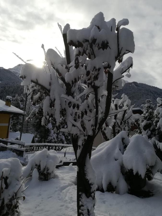 Il Nido B&B Villa d'Allegno ภายนอก รูปภาพ